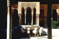 Granada - Alhambra Lions Fountain